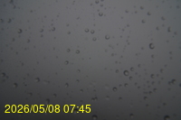 Img20260508_074558.jpg