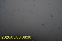 Img20260508_083058.jpg