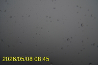 Img20260508_084558.jpg