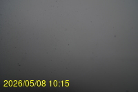 Img20260508_101558.jpg