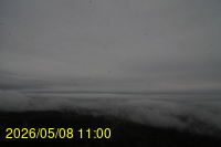 Img20260508_110058.jpg