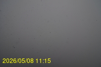 Img20260508_111558.jpg