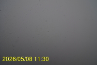 Img20260508_113058.jpg