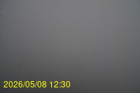 Img20260508_123059.jpg