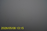 Img20260508_131559.jpg