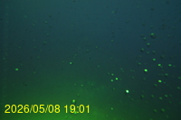Img20260508_190100.jpg