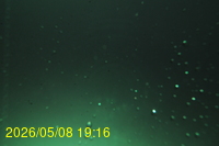 Img20260508_191600.jpg