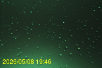 Img20260508_194600.jpg