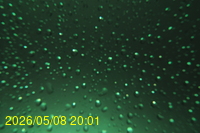 Img20260508_200100.jpg