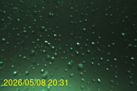 Img20260508_203100.jpg