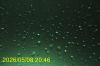 Img20260508_204600.jpg