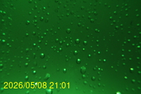 Img20260508_210100.jpg