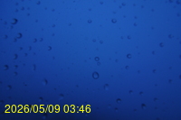 Img20260509_034601.jpg