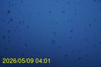 Img20260509_040101.jpg