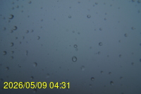 Img20260509_043101.jpg