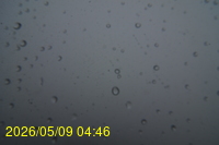 Img20260509_044601.jpg