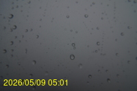 Img20260509_050101.jpg