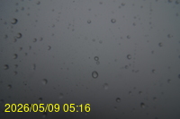 Img20260509_051601.jpg
