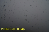 Img20260509_054601.jpg