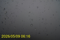 Img20260509_061601.jpg