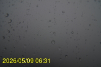 Img20260509_063101.jpg