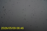 Img20260509_064601.jpg