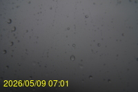 Img20260509_070101.jpg