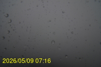 Img20260509_071601.jpg
