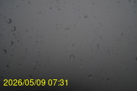 Img20260509_073101.jpg