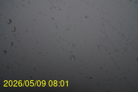 Img20260509_080101.jpg