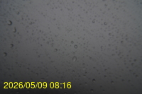 Img20260509_081601.jpg