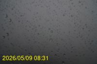 Img20260509_083101.jpg