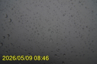 Img20260509_084601.jpg