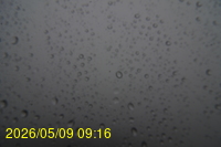 Img20260509_091601.jpg