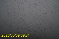 Img20260509_093102.jpg