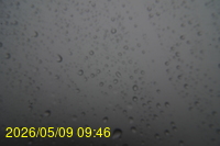 Img20260509_094602.jpg