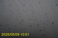 Img20260509_100102.jpg