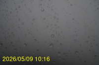 Img20260509_101602.jpg