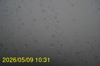 Img20260509_103102.jpg