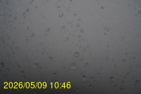 Img20260509_104602.jpg