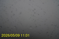 Img20260509_110102.jpg