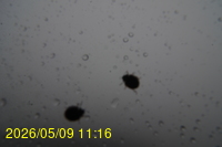 Img20260509_111602.jpg