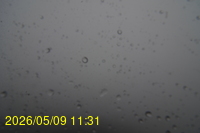 Img20260509_113102.jpg