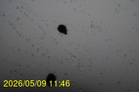 Img20260509_114602.jpg