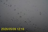 Img20260509_121602.jpg