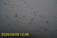 Img20260509_124602.jpg