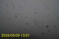 Img20260509_130102.jpg