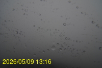 Img20260509_131602.jpg