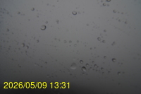 Img20260509_133102.jpg