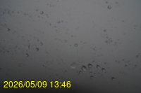 Img20260509_134602.jpg